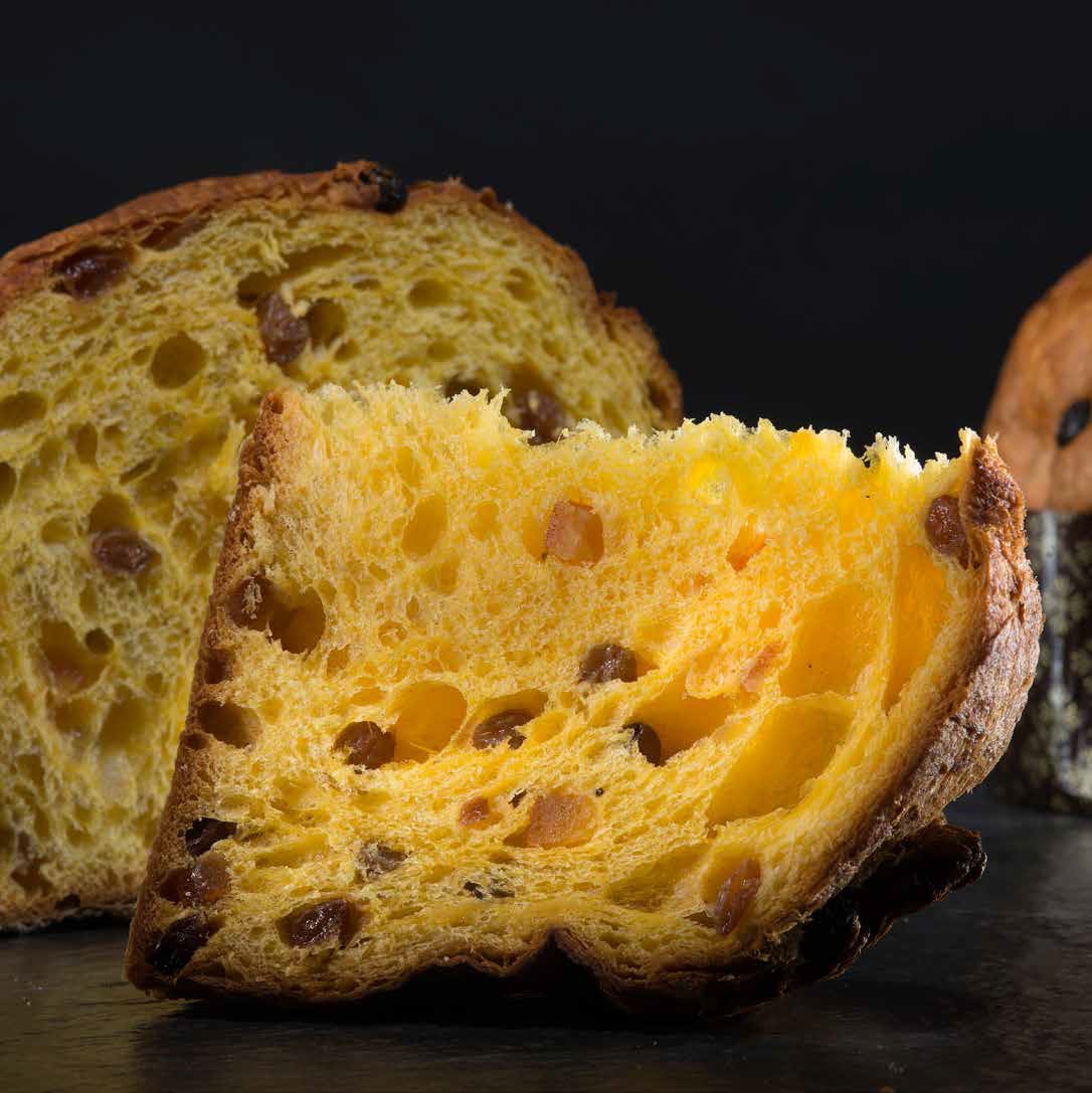 La ricetta del Panettone Classico di Vincenzo Santoro