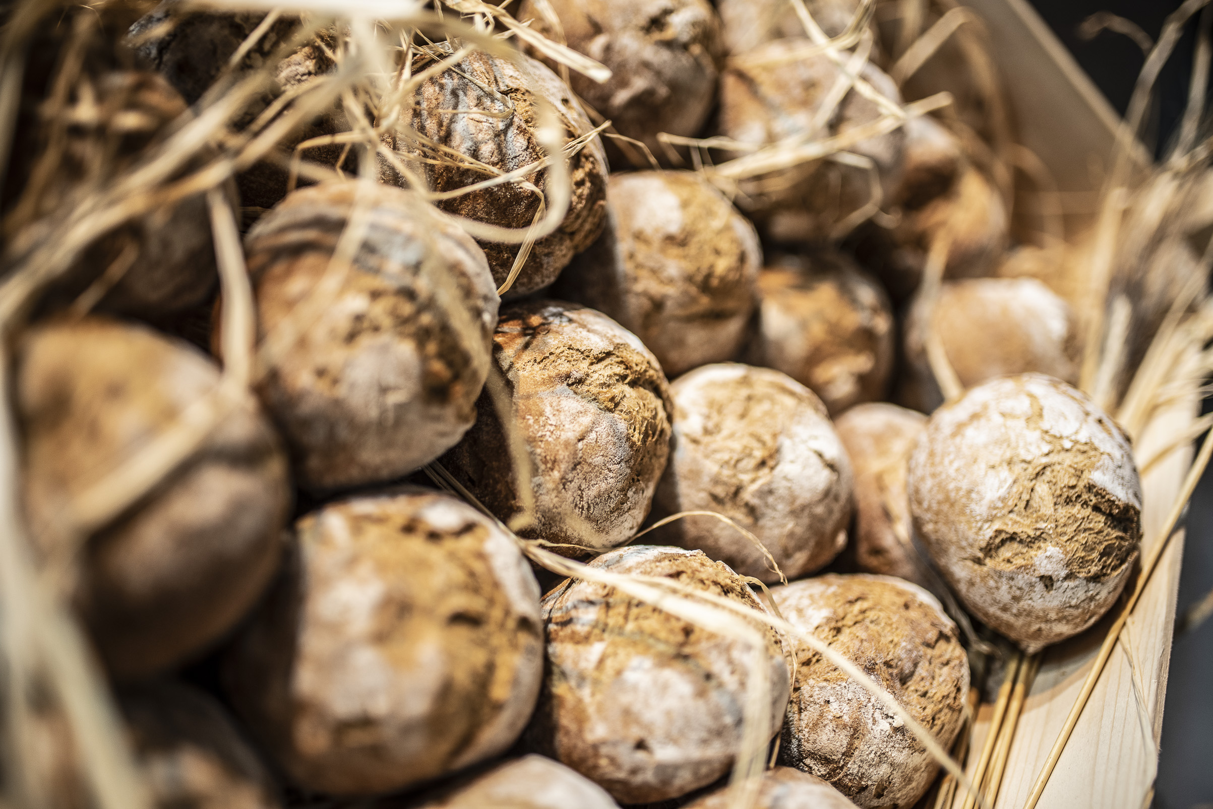 Panificatori e Città del Pane si alleano per il pane fresco artigianale -  Newsfood - Nutrimento e Nutrimente - News dal mondo Food